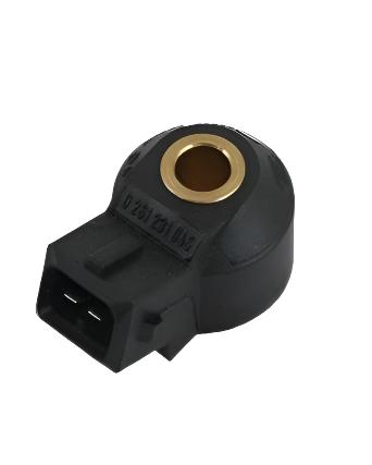 Bosch Knock Sensor